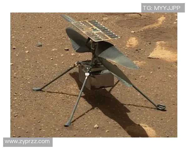 足球明星抵达城市瞬间下飞机视频引发球迷热议和欢呼声