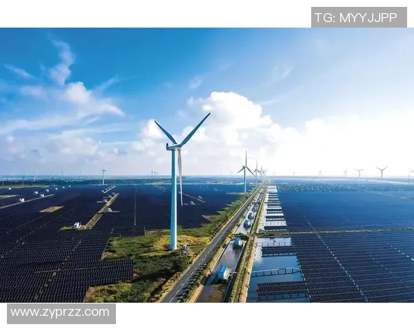 武汉羽毛球队的阵地战革新探索与实践:重塑竞技格局与团队协作新模式